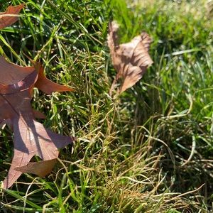 Meet your Posher, Kendra